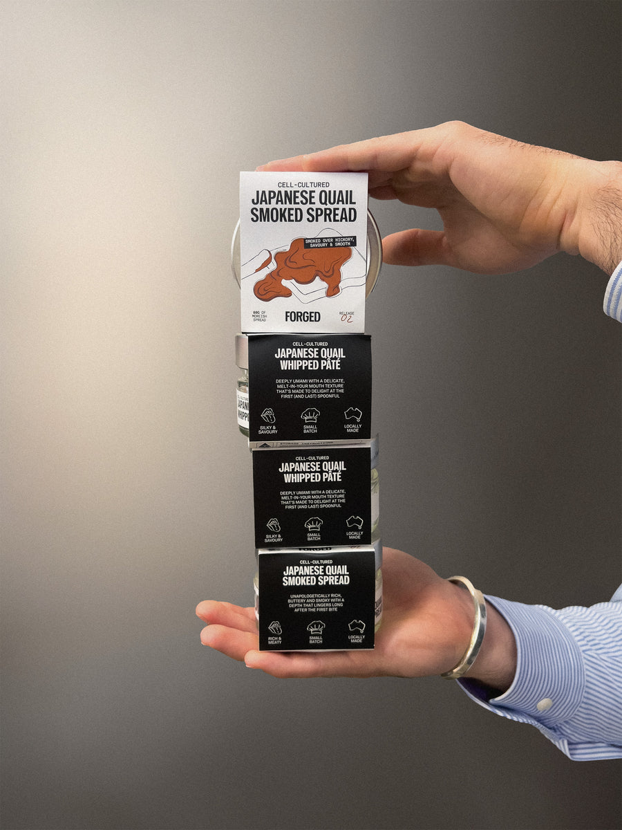 The Mini Entertainer Bundle